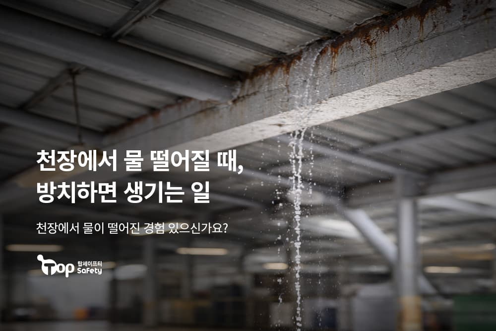 🚨 천장에서 물 떨어질 때, 그냥 두면 생기는 일